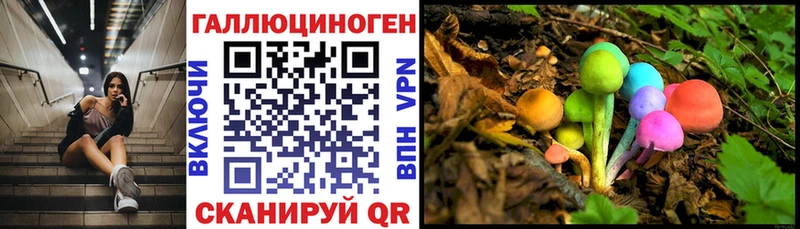 OMG   Собинка  Галлюциногенные грибы мухоморы 